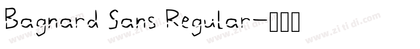 Bagnard Sans Regular字体转换